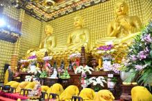 Một góc văn hóa Việt trong Lễ cầu an và hoàn Kinh Dược Sư tại chùa Giác Ngộ