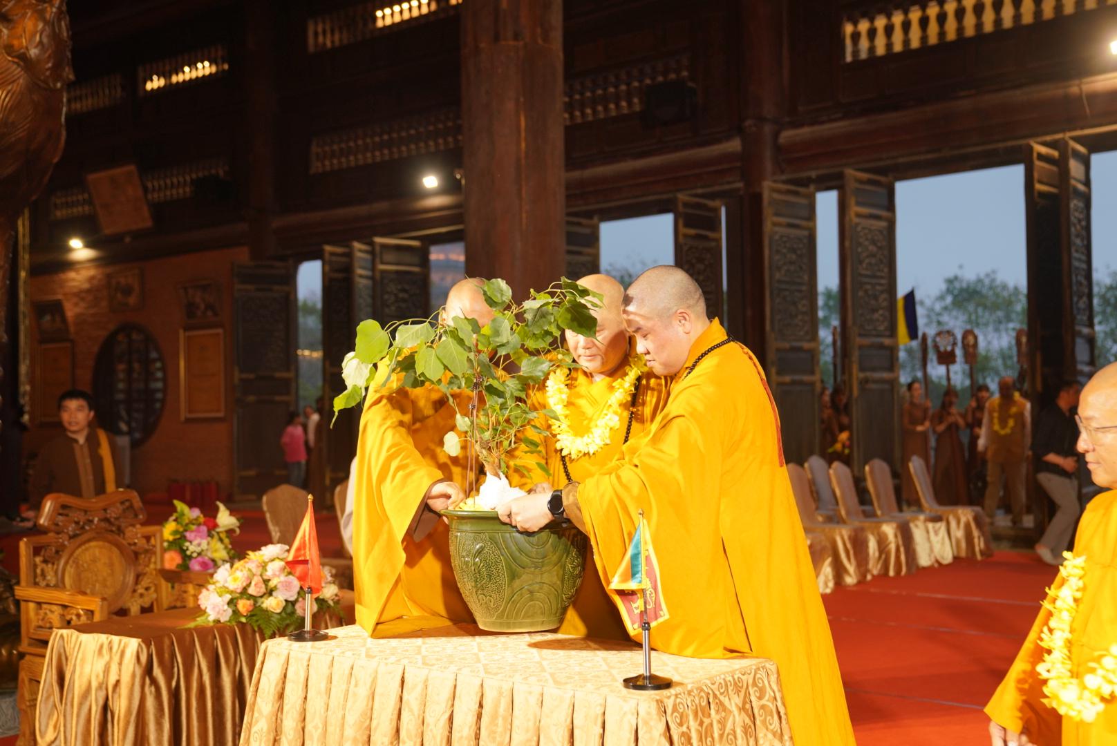 Lễ đón cây bồ đề từ Sri Lanka về chùa Bái Đính